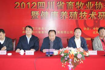 clip_image004.jpg