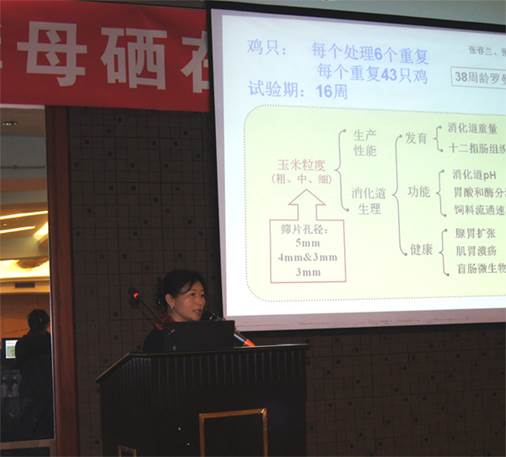 clip_image008.jpg